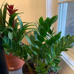 Meet your Posher, Denisa